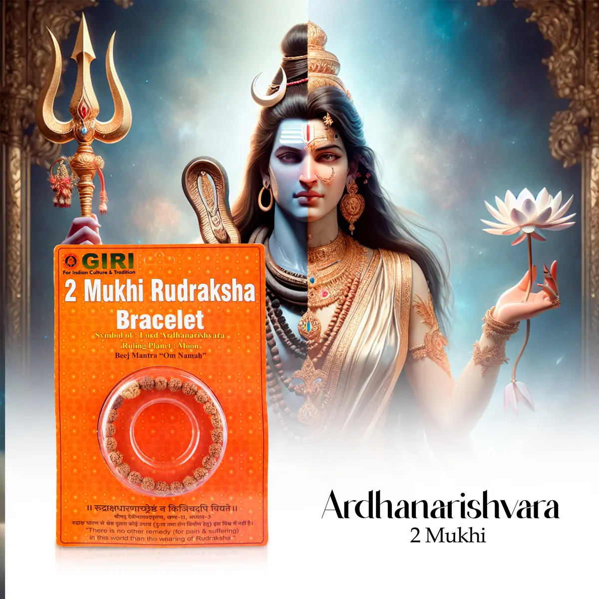 2 Mukhi Rudraksha Bracelet | Java Rudraksha Hand Bracelet/ 2 Face Rudraksh Hand Band For Spiritual Wear