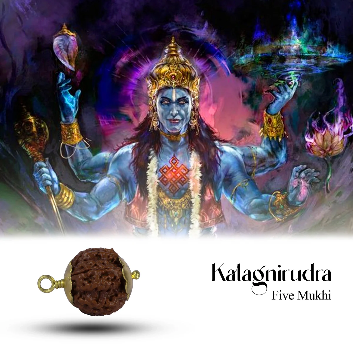 5 Mukhi Rudraksha Bead | Nepali Five Mukhi Rudraksha/ Golden Cup Five Face Rudraksha for Men And Women