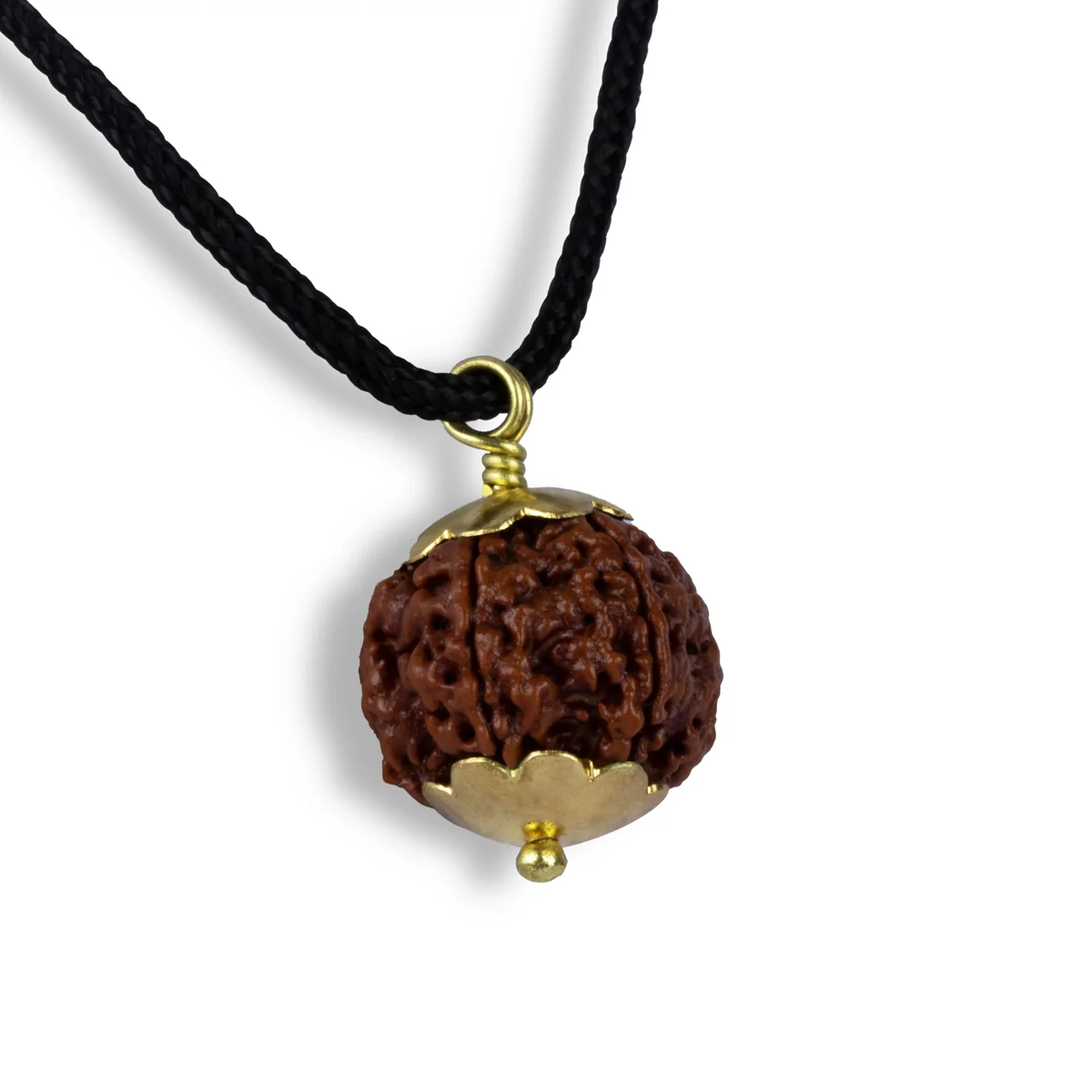 5 Mukhi Rudraksha Bead | Nepali Five Mukhi Rudraksha/ Golden Cup Five Face Rudraksha for Men And Women - Image 2