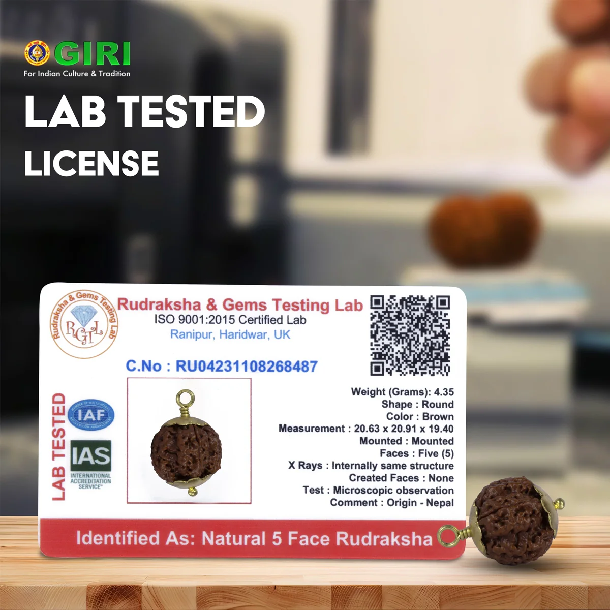 5 Mukhi Rudraksha Bead | Nepali Five Mukhi Rudraksha/ Golden Cup Five Face Rudraksha for Men And Women - Image 4