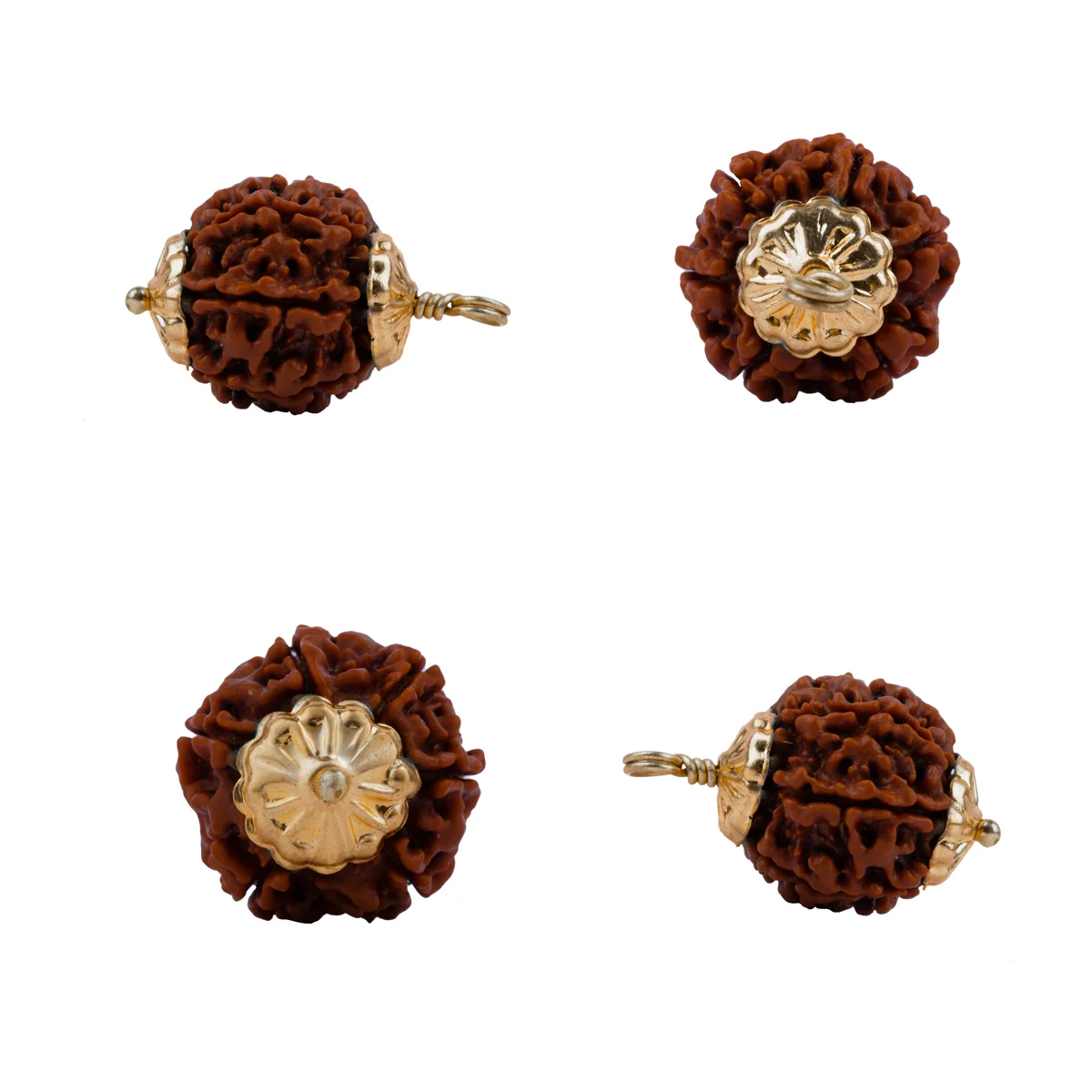 6 Mukhi Rudraksha Bead | Nepali Six Mukhi Rudraksha/ Golden Cup 6 Face Rudraksha for Men & Women - Image 3