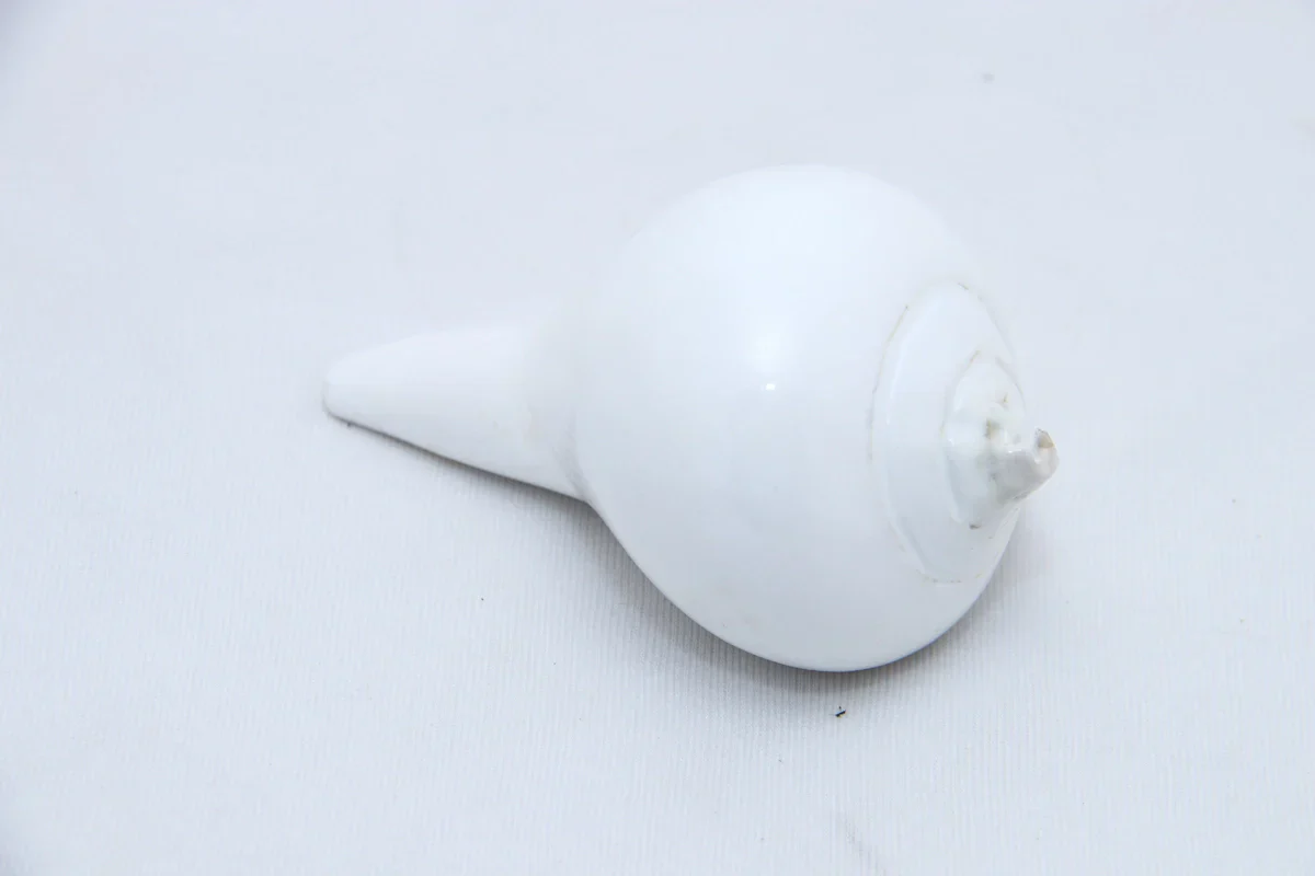 Abhishek Shankh - 2 x 3.5 Inches | Sangu/ Conch/ Abhishek Shankha for Pooja - Image 3