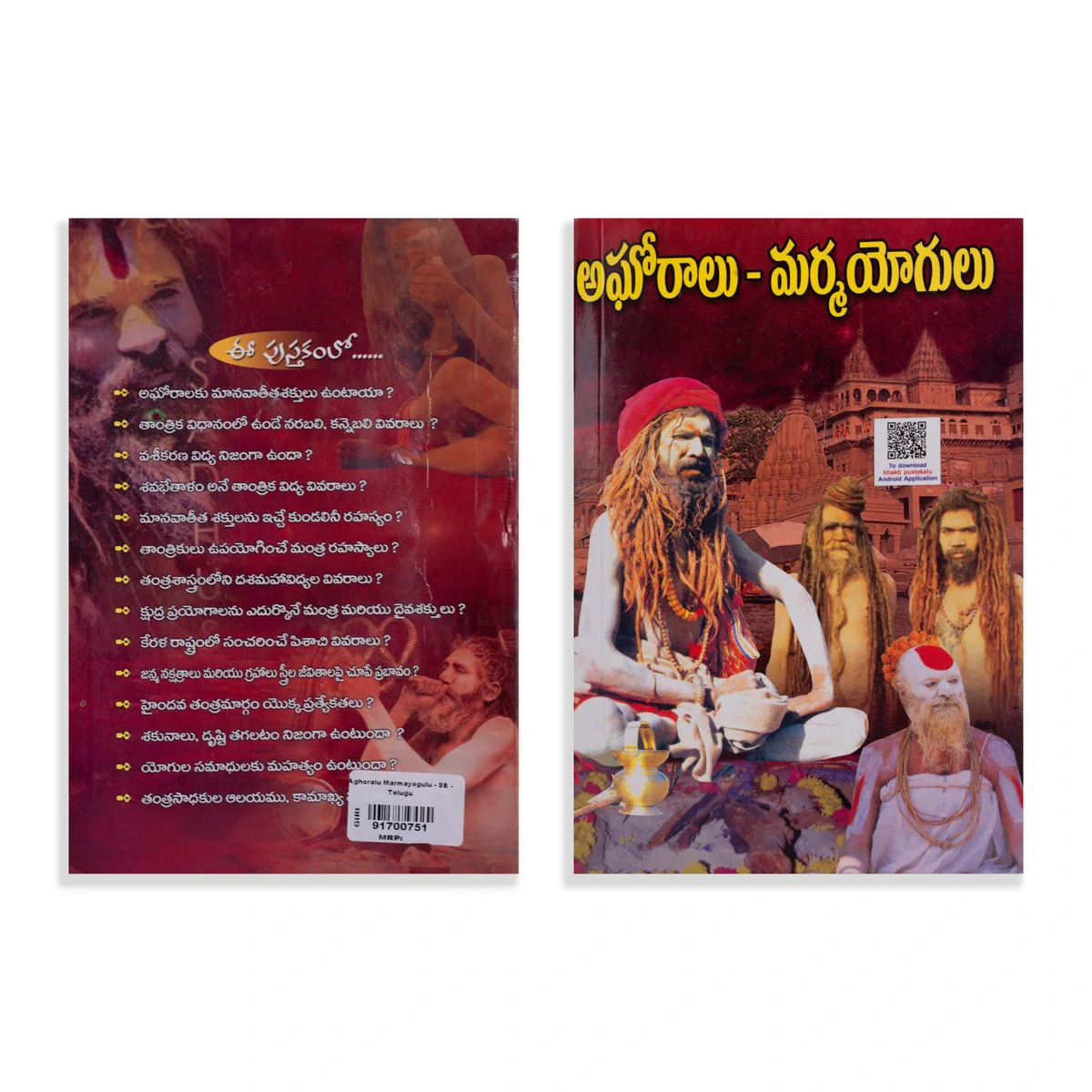 Aghoralu Marma Yogulu - Telugu | by Sridharan Kanduri/ Hindu Mantra Book - Image 2