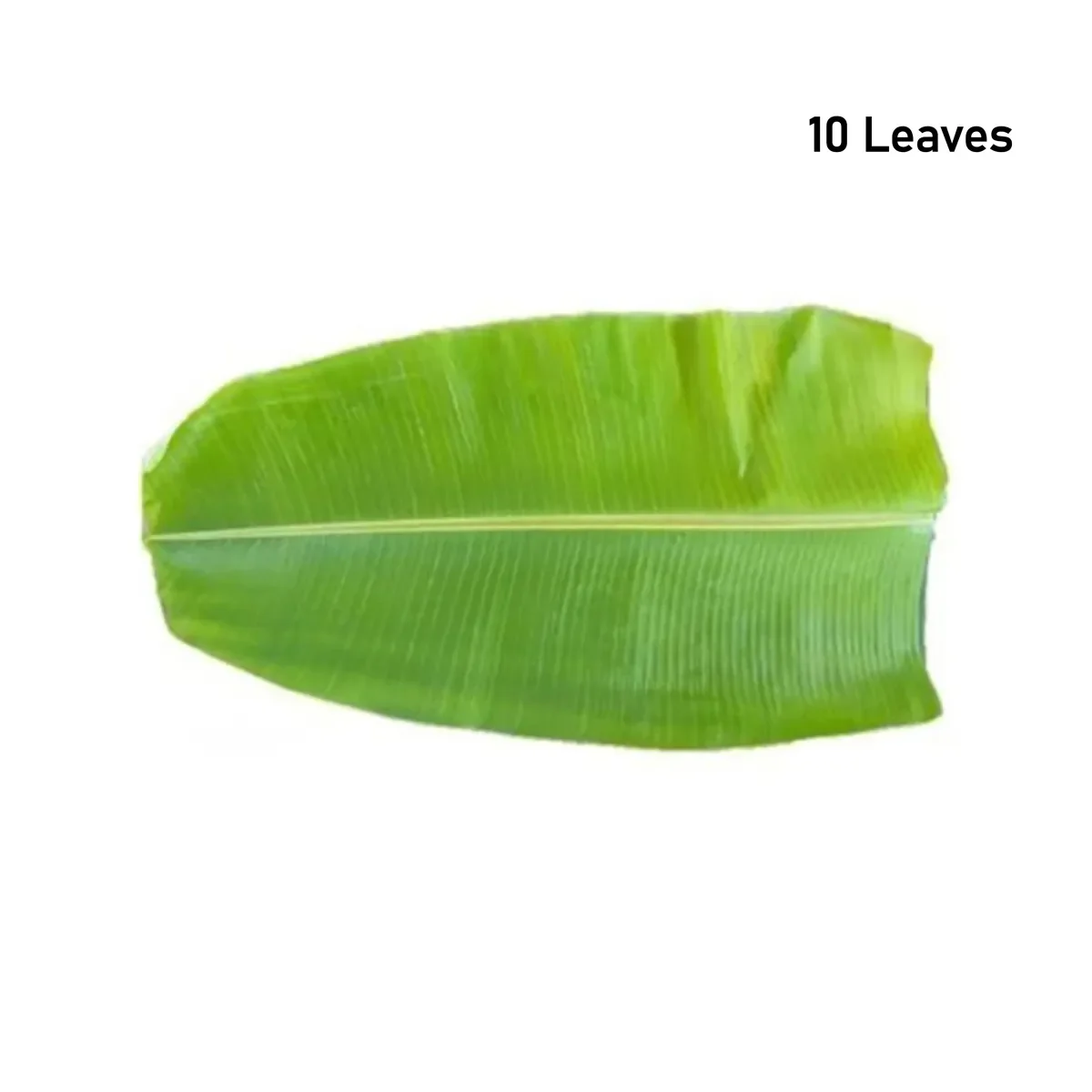 Banana Leaves - Image 2
