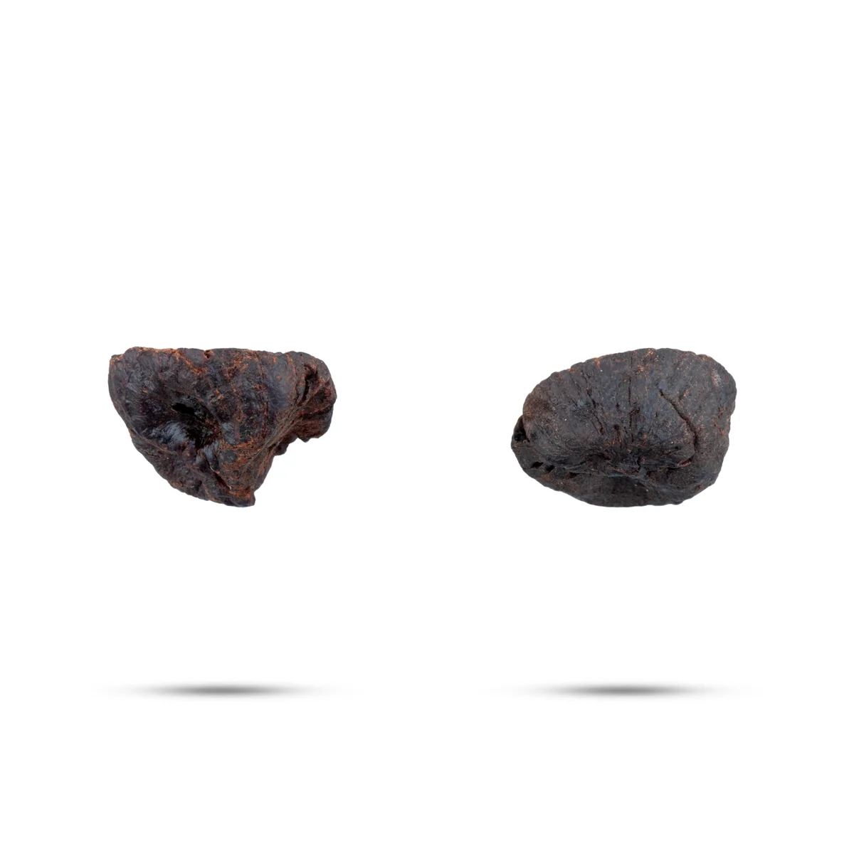 Betelnut - 3 Gms | Areca Nut/ Paaku for Function - Image 3