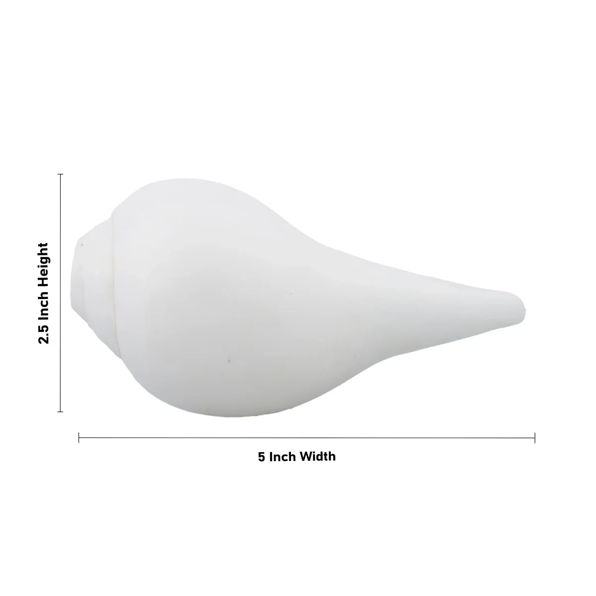Blowing Shankh - 2.5 x 5 Inches | Shankha/ Conch for Pooja - Image 4
