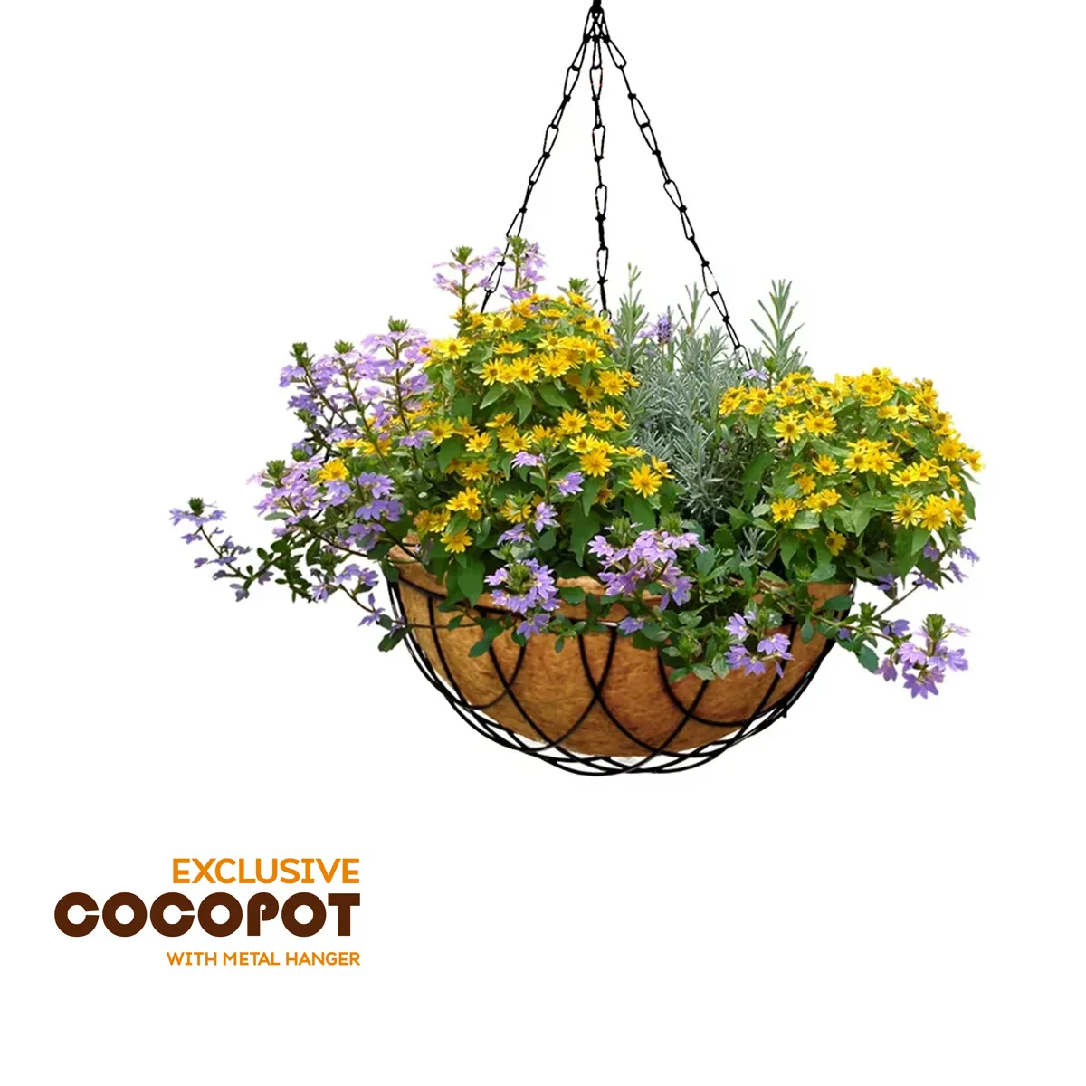 Coco Pot with Metal Hanger - 5 x 6 Inches | Coir Pot/ Coir Plant Pot - Image 10
