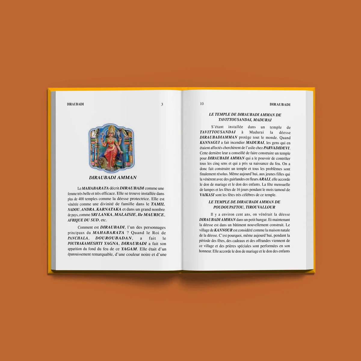 Diraubadi & Patrakali - French | Hindu Religious Book For Exploring Divine Feminine And Sacred Stories - Image 4