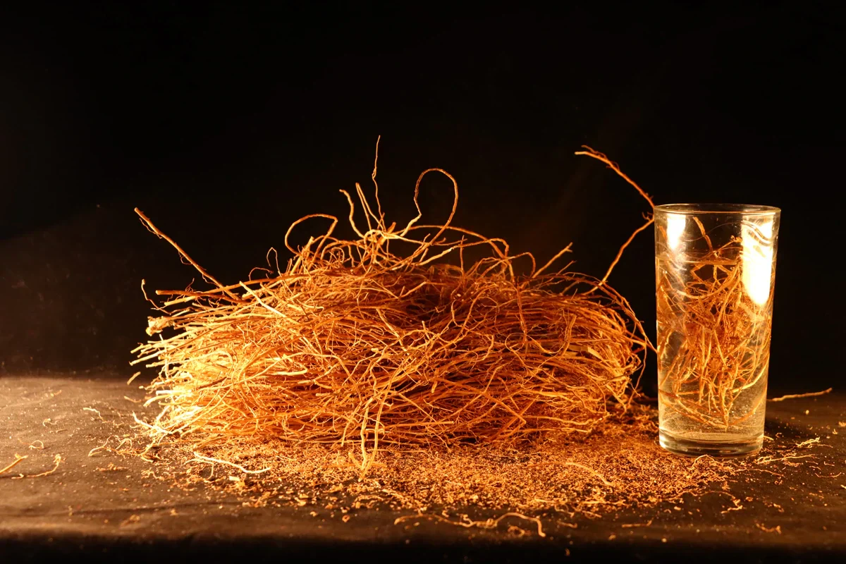 Giri Vettiver - 50 Gms | Organic Vetiver Root/ Khus Khus/ Aromatic Roots/ Vetiveria Zizanioides - Image 3