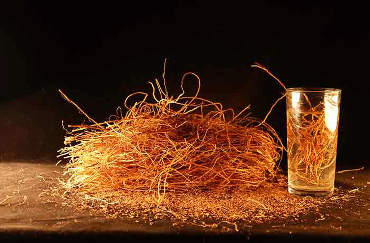 Giri Vettiver - 50 Gms | Organic Vetiver Root/ Khus Khus/ Aromatic Roots/ Vetiveria Zizanioides - Image 5