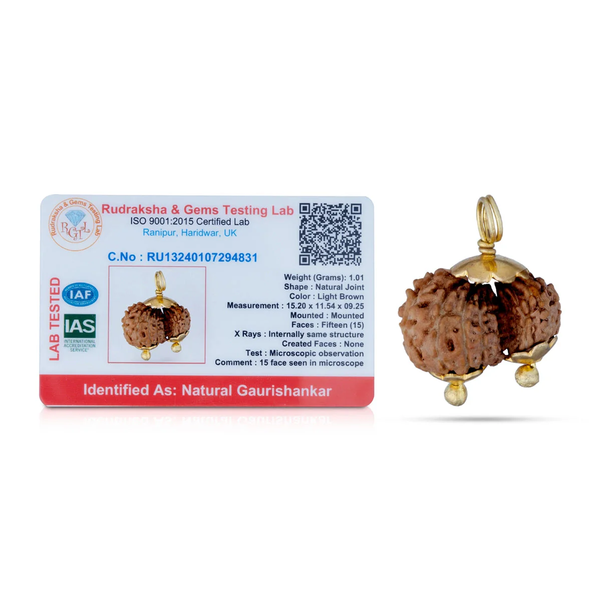 Gowri Shankar Rudraksha Pendant - 7 x 5 Inches | Java Rudraksh Locket/ Gold Cup Rudraksha Pendant for Men & Women - Image 2