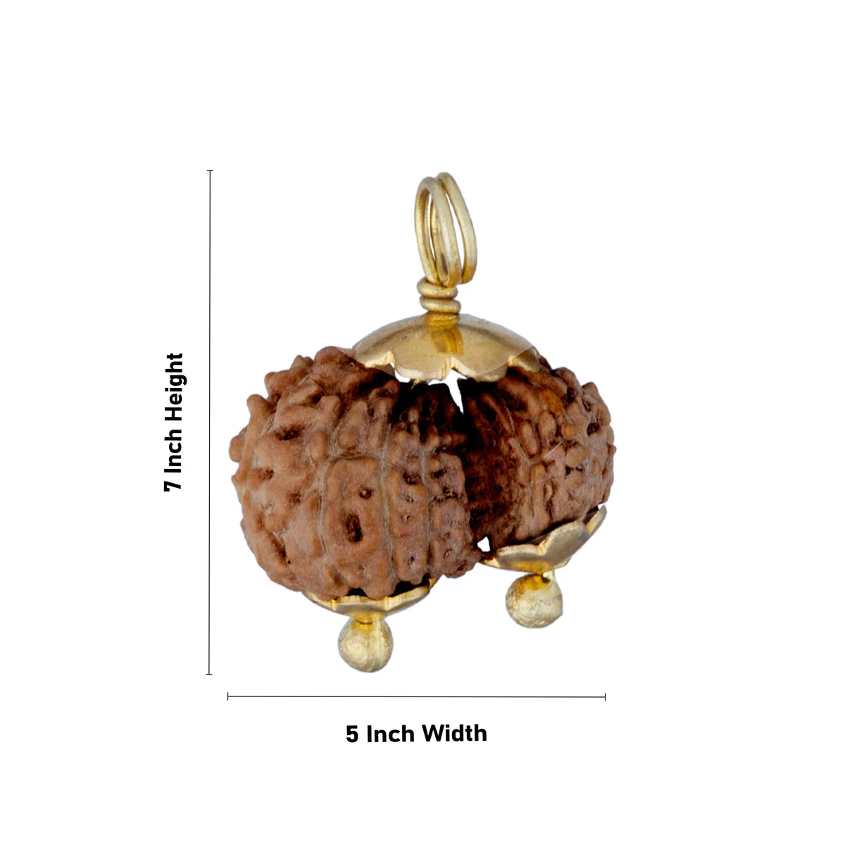 Gowri Shankar Rudraksha Pendant - 7 x 5 Inches | Java Rudraksh Locket/ Gold Cup Rudraksha Pendant for Men & Women - Image 3
