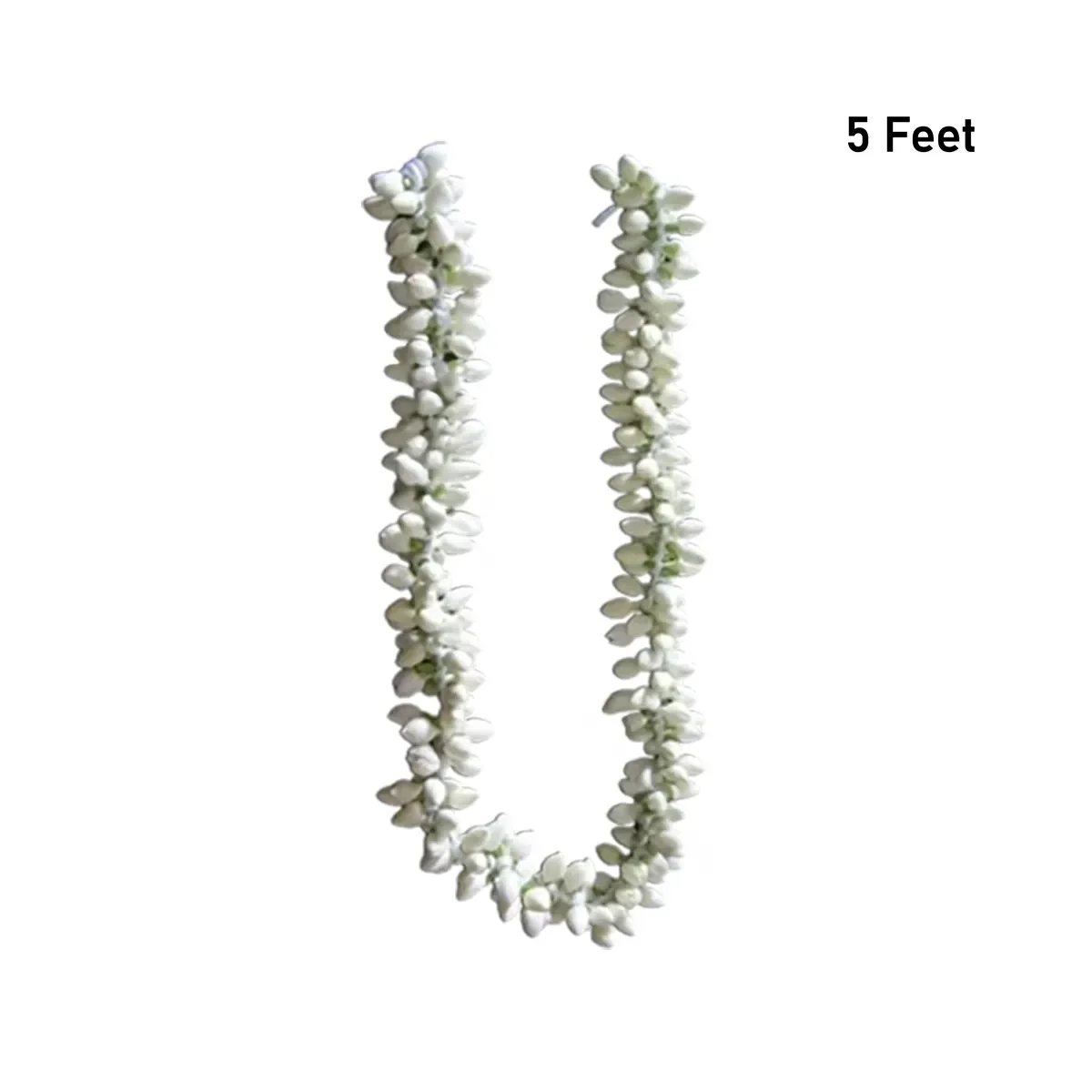 Jasmine (6 ft string) - Image 2