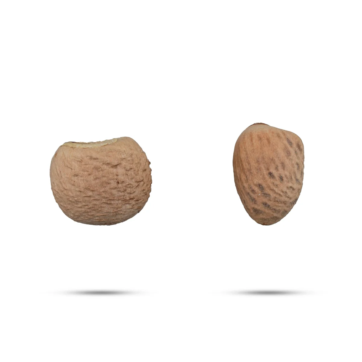 Kottai Pakku - 5 Gms | Dried Betelnut/ Kotta Pakku/ Areca Nut for Function - Image 2