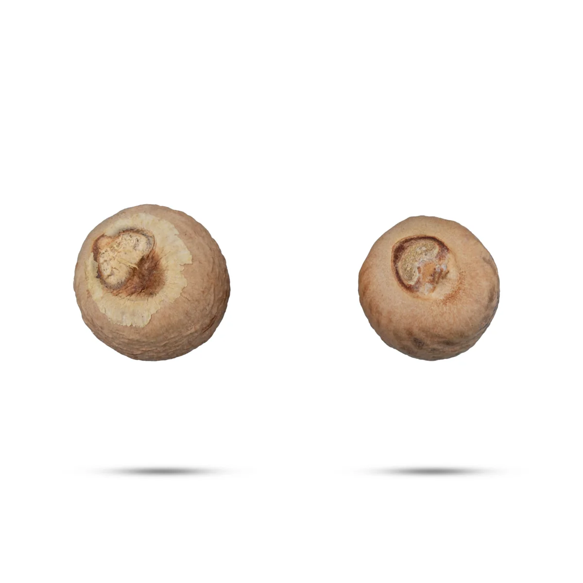 Kottai Pakku - 5 Gms | Dried Betelnut/ Kotta Pakku/ Areca Nut for Function - Image 3