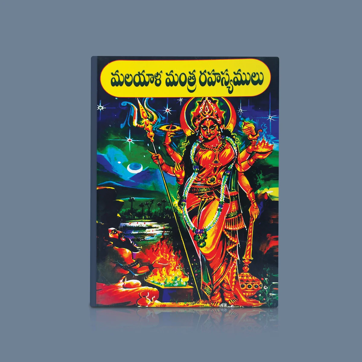Sarvadevata Siddhyagu Malayalam Mantra Rajyam - Telugu | by Shri Varachandra Giri Chinnayya/ Hindu Mantra Book
