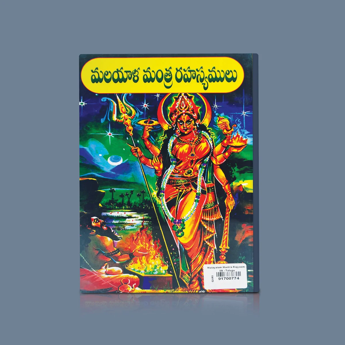 Sarvadevata Siddhyagu Malayalam Mantra Rajyam - Telugu | by Shri Varachandra Giri Chinnayya/ Hindu Mantra Book - Image 2