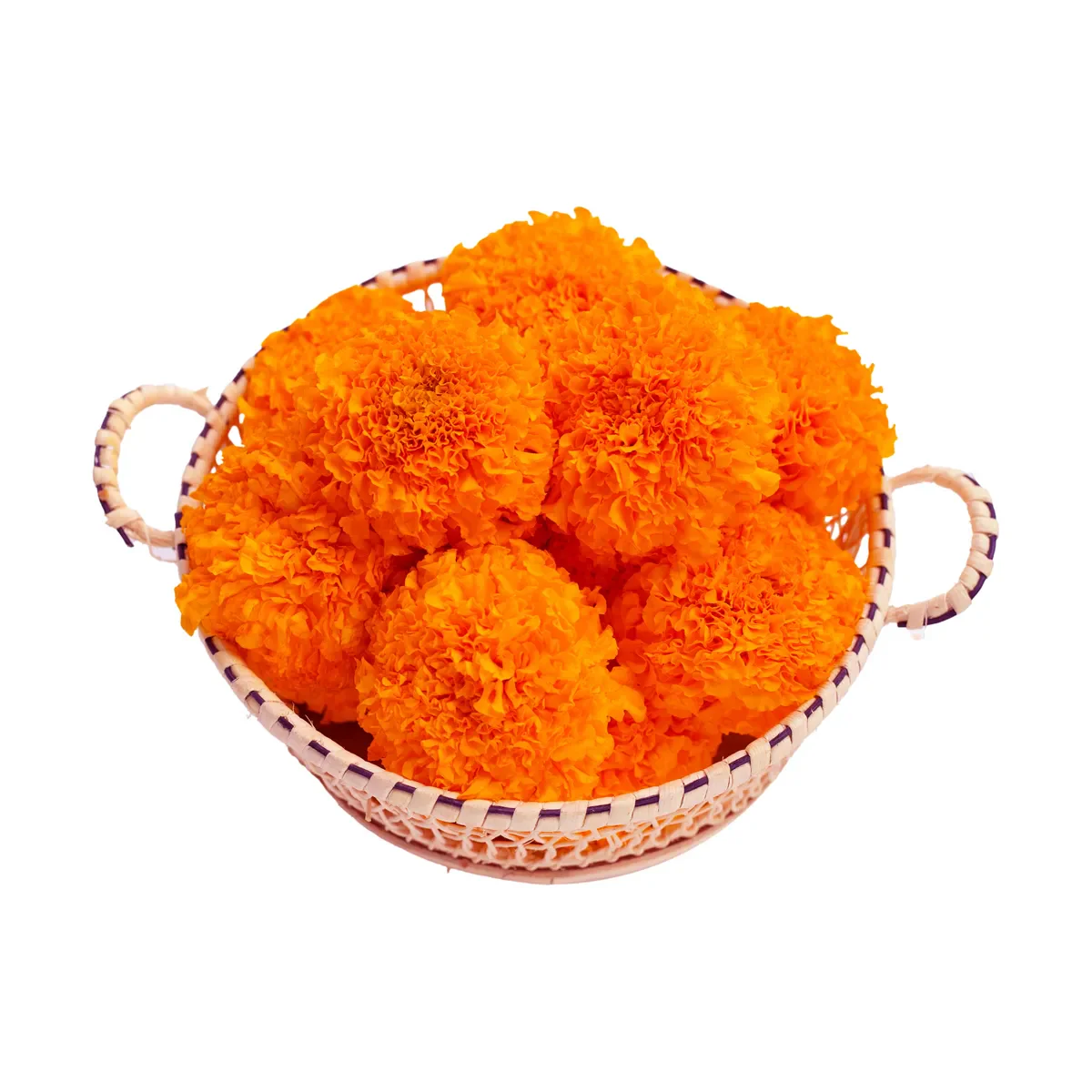 Marigold - Image 2