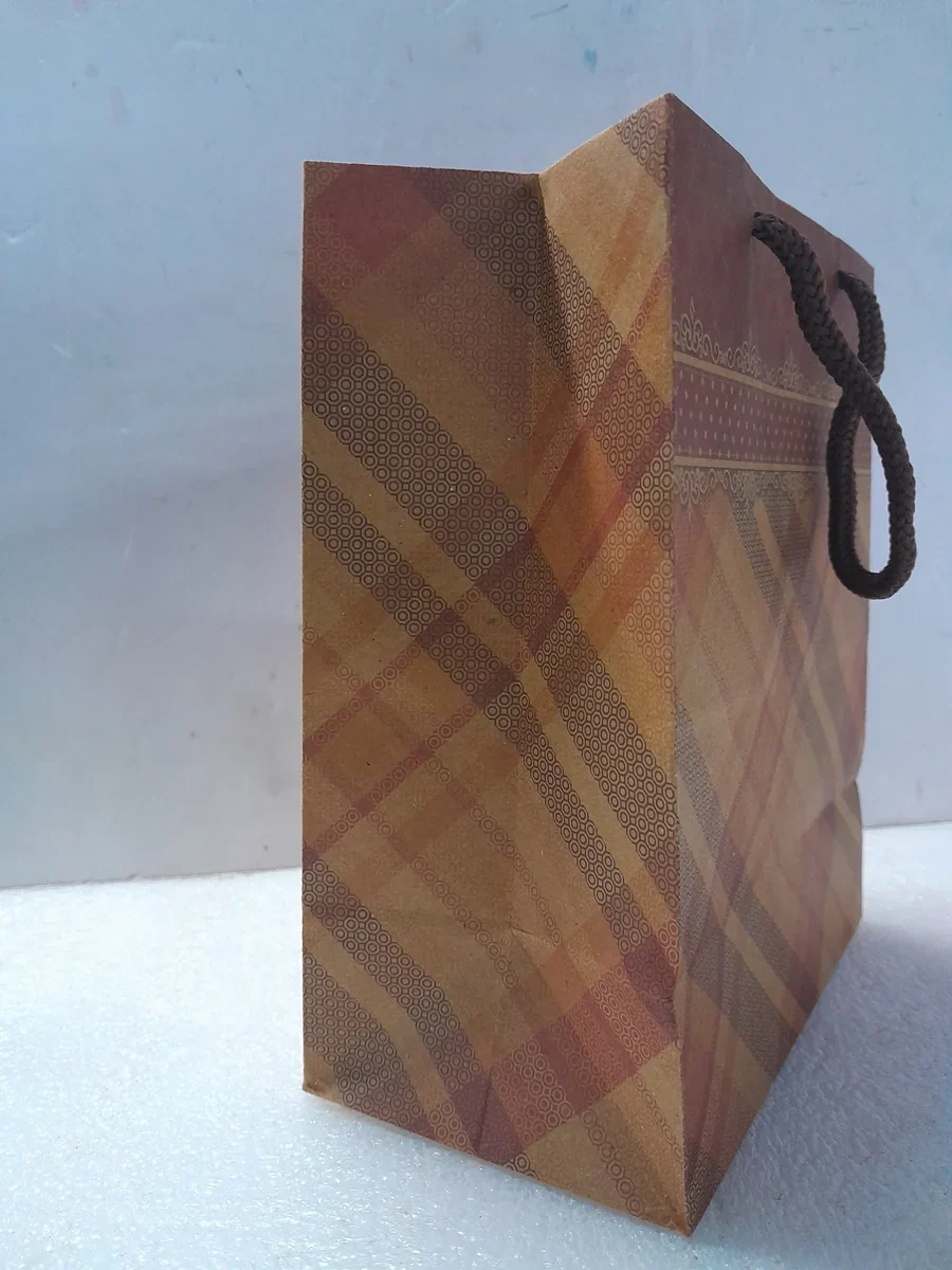 Paper Bag - 6 x 7.25 x 3.5 Inches | Return Gift Bag for Wedding - Image 2