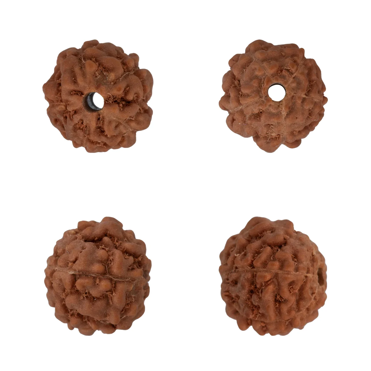 Rudraksha Beads - Set | Rudraksha Mala Beads/ Rudraksh Beads for Men & Women - Image 2