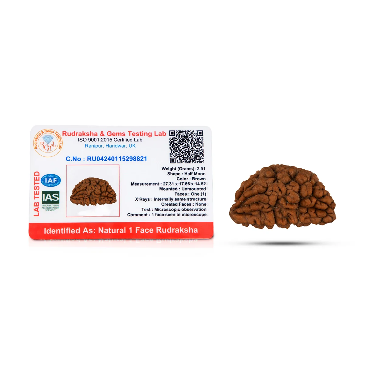 1 Mukhi Rudraksh Bead - Cashew Nut Shape | 1 Face Rudraksha/ Ek Mukhi Rudraksha For Meditation & Gifting