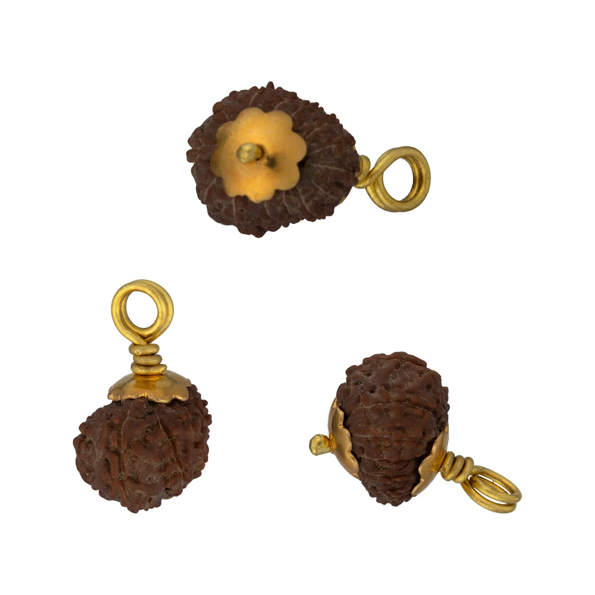 14 Mukhi Rudraksha Bead | Golden Cup Fourteen Mukhi Rudraksha/ Java 14 Face Rudraksha for Men & Women - Image 3