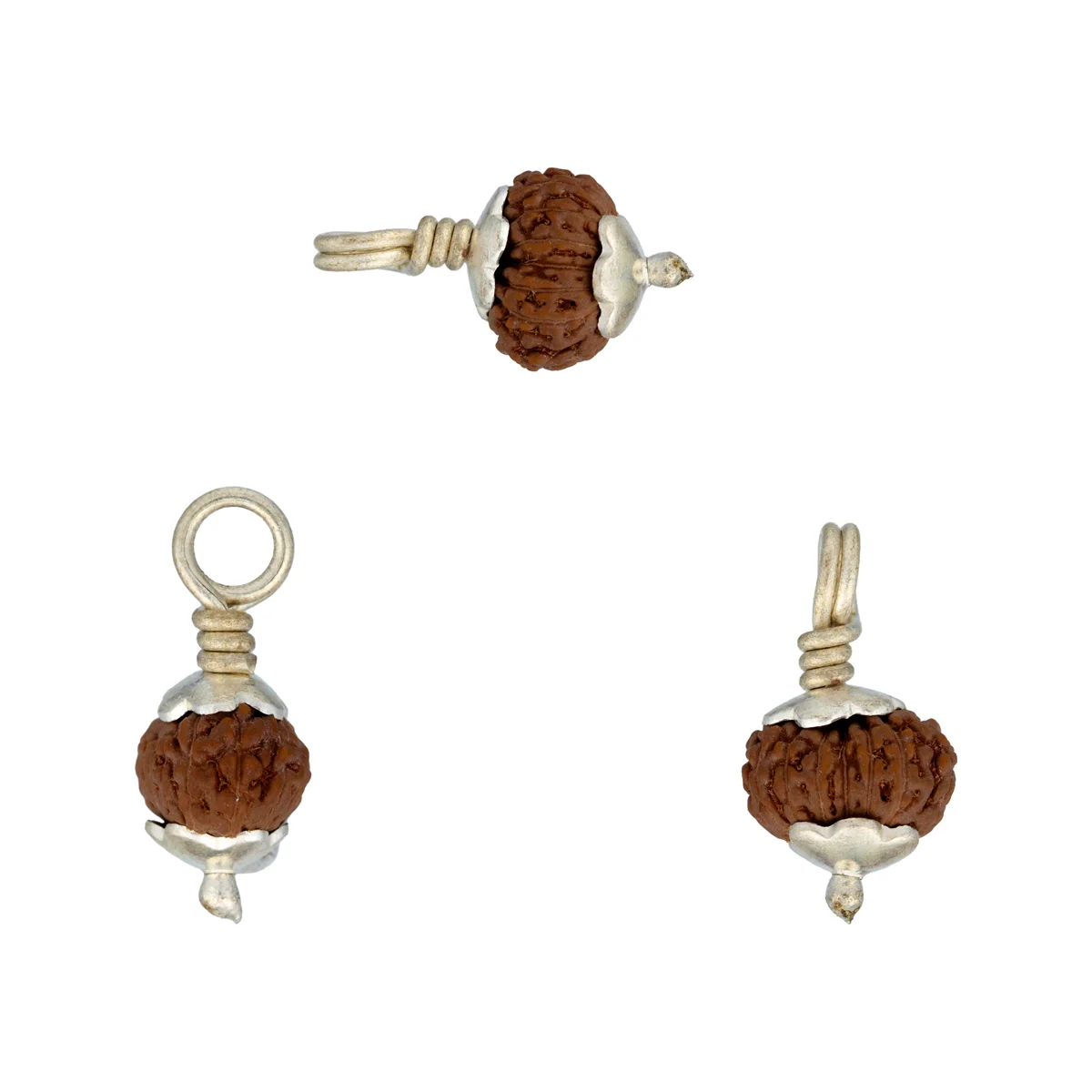 14 Mukhi Rudraksha Bead | Silver Cup Fourteen Mukhi Rudraksha/ Java 14 Face Rudraksha for Men & Women - Image 2