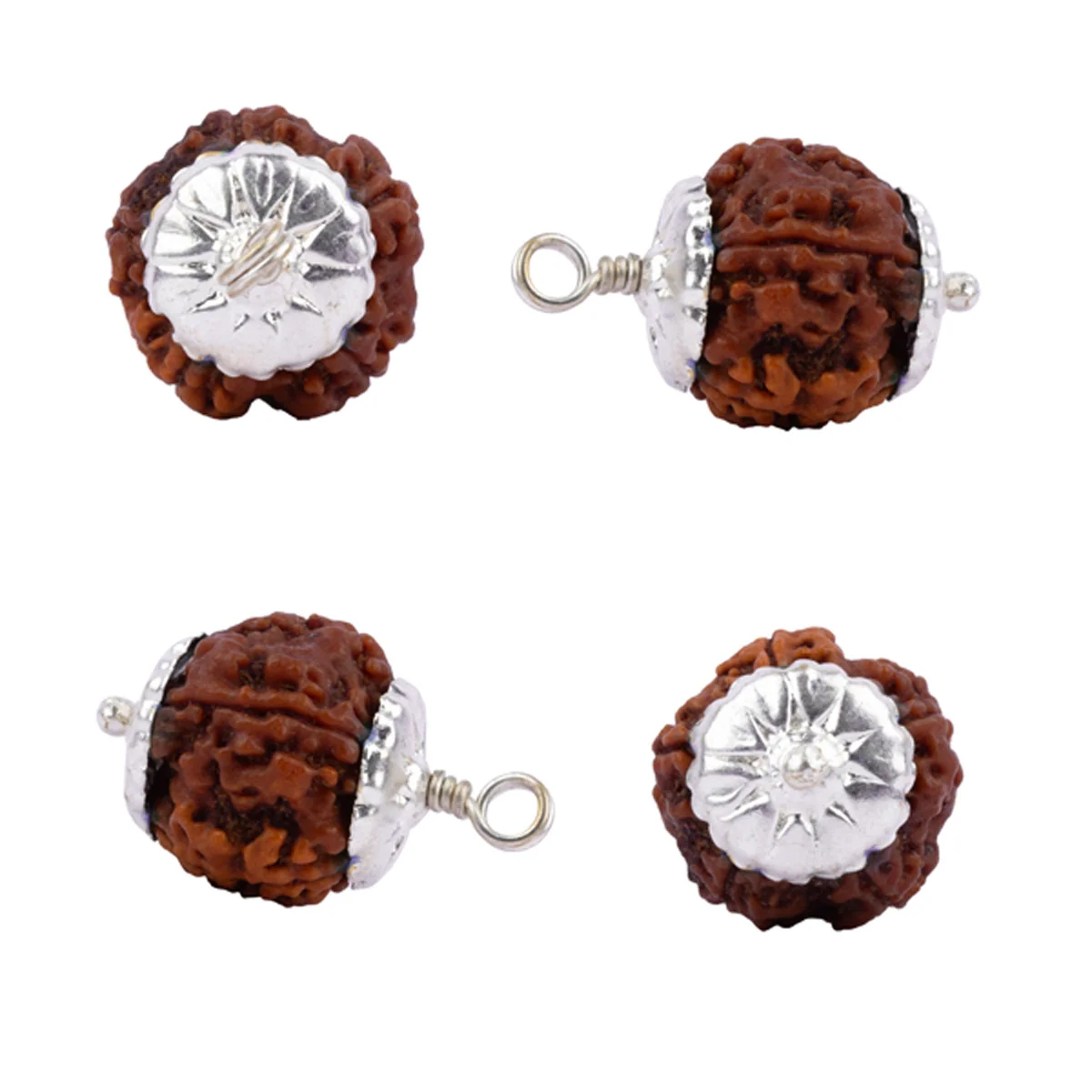 7 Mukhi Rudraksha Bead | Nepali Seven Mukhi Rudraksha Bead/ Silver Cup Seven Faced Rudraksha for Men & Women - Image 3