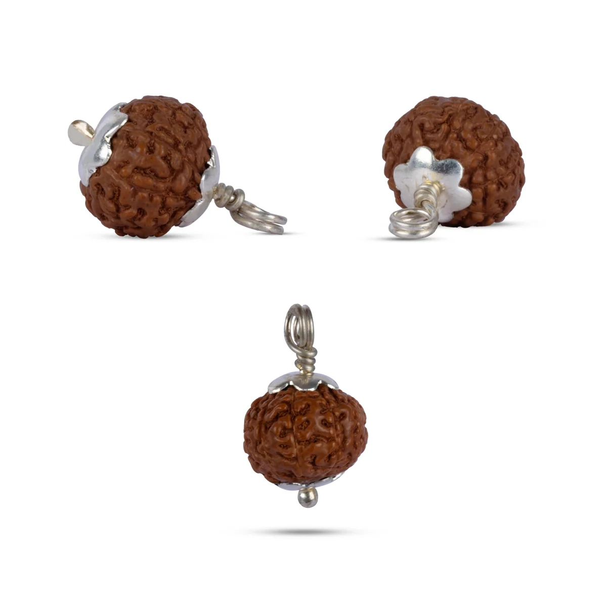 10 Mukhi Rudraksha Bead | Java Ten Face Rudraksha/ Silver Cup Ten Mukhi Rudraksha Bead for Men & Women - Image 3