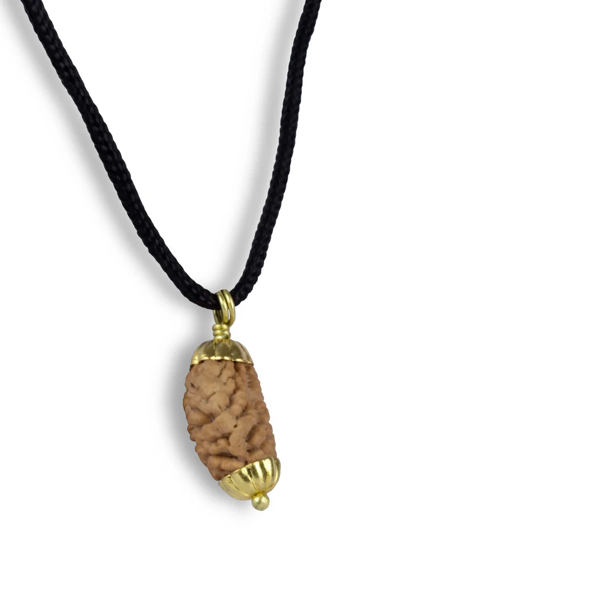 2 Mukhi Rudraksha Bead | Golden Cup Two Mukhi Rudraksha/ South 2 Face Rudraksha Bead for Men & Women - Image 2