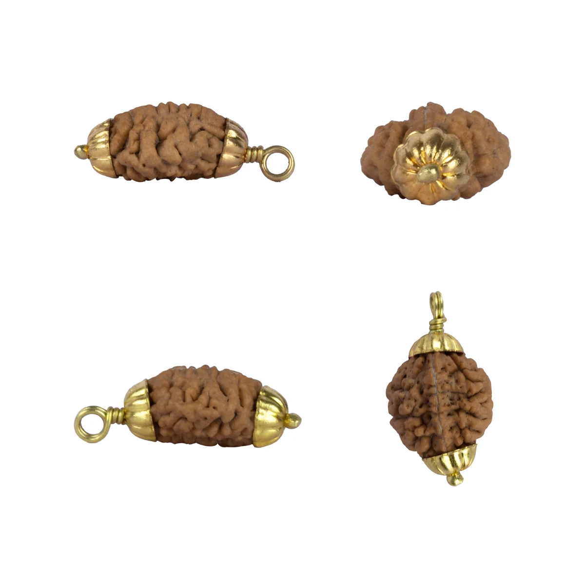 2 Mukhi Rudraksha Bead | Golden Cup Two Mukhi Rudraksha/ South 2 Face Rudraksha Bead for Men & Women - Image 3