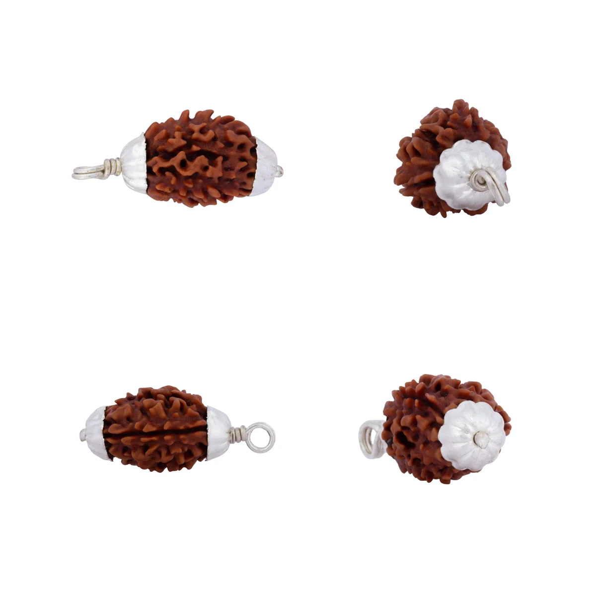3 Mukhi Rudraksha Bead | Himalayan 3 Face Rudraksha/ Silver Cup Three Mukhi Rudraksha Pendant for Men & Women - Image 3