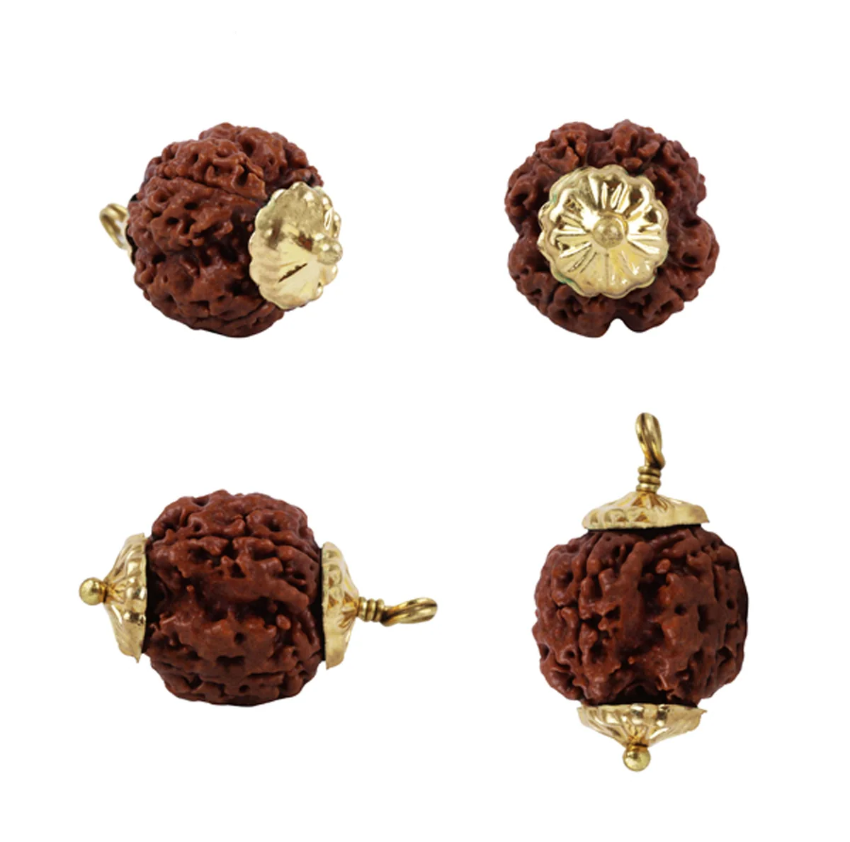 4 Mukhi Rudraksha Bead | Nepali Four Face Rudraksha Bead/ Golden Cup Four Mukhi Rudraksha for Men & Women - Image 3