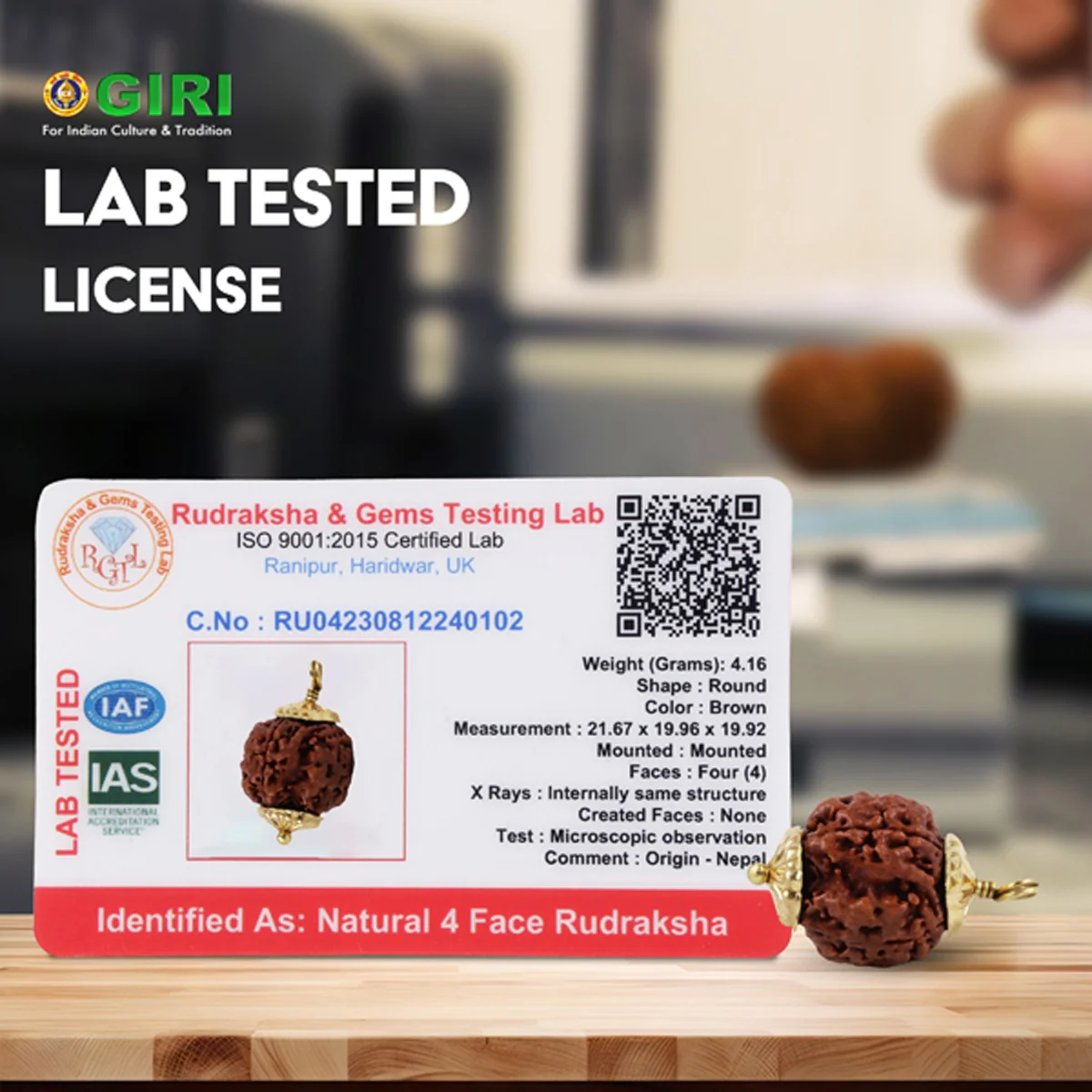 4 Mukhi Rudraksha Bead | Nepali Four Face Rudraksha Bead/ Golden Cup Four Mukhi Rudraksha for Men & Women - Image 4