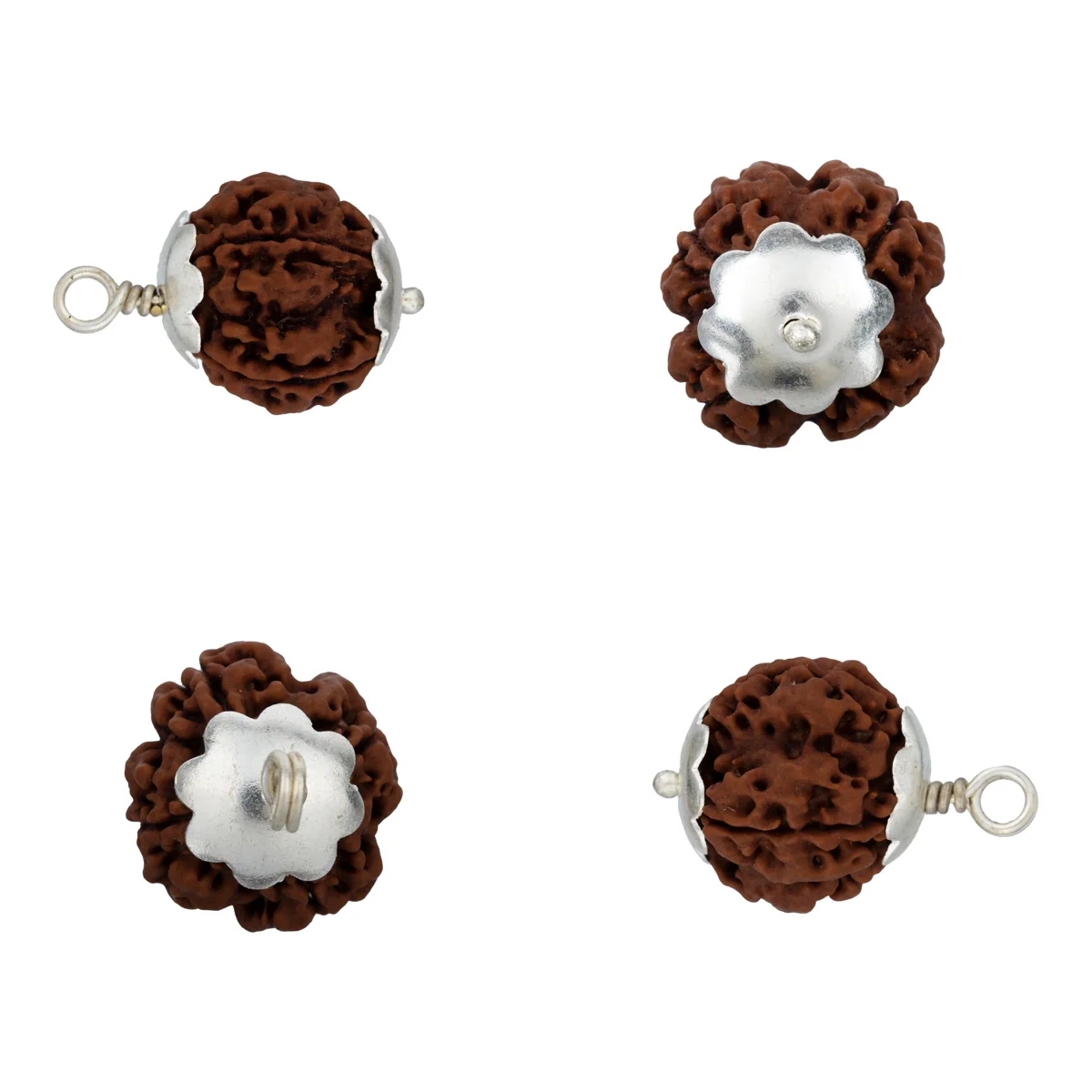 4 Mukhi Rudraksha Bead | Nepali Four Face Rudraksha Bead/ Silver Cup Four Mukhi Rudraksha for Men & Women - Image 3