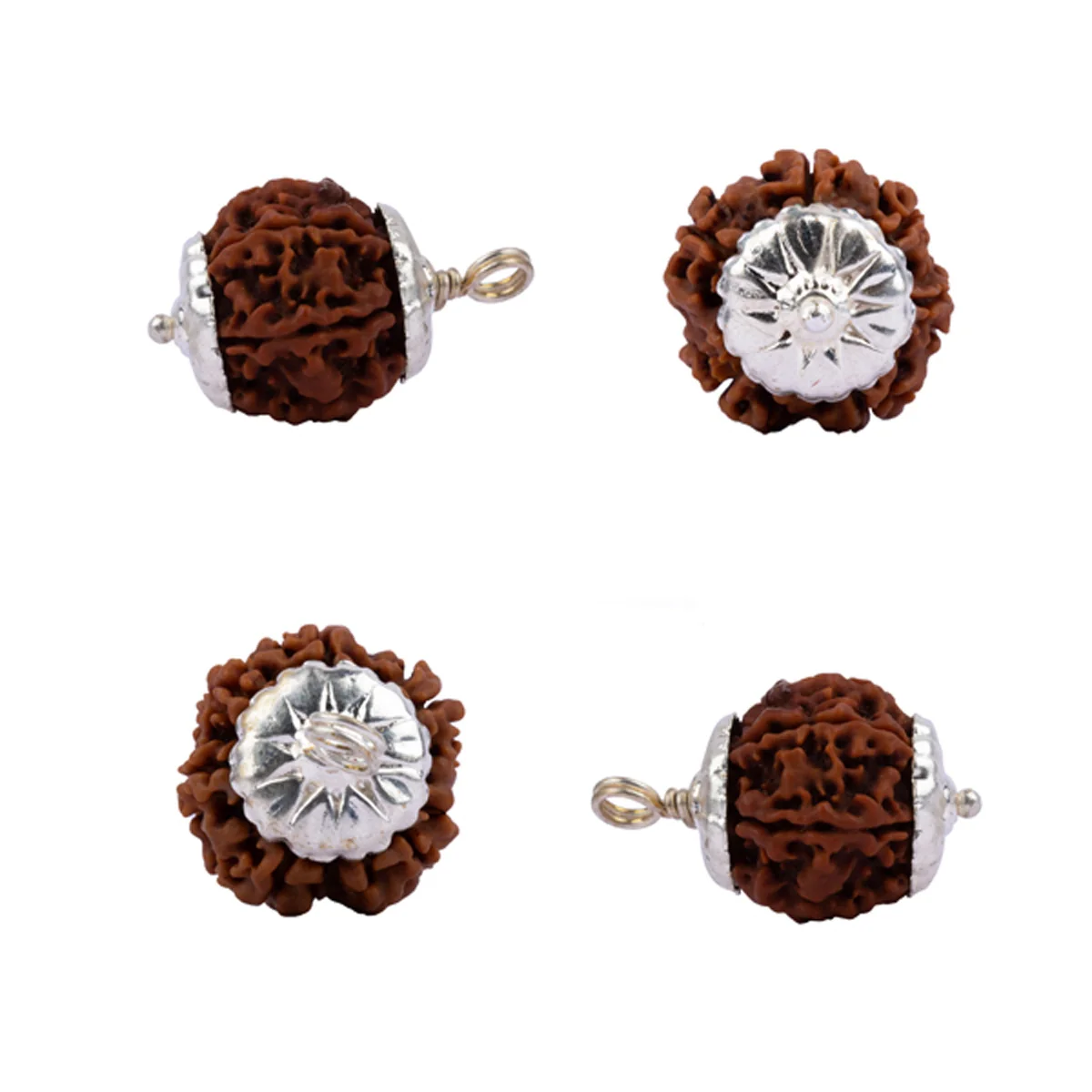 6 Mukhi Rudraksha Bead | Nepali Six Mukhi Rudraksha/ Silver Cup 6 Face Rudraksha Pendant for Men & Women - Image 2