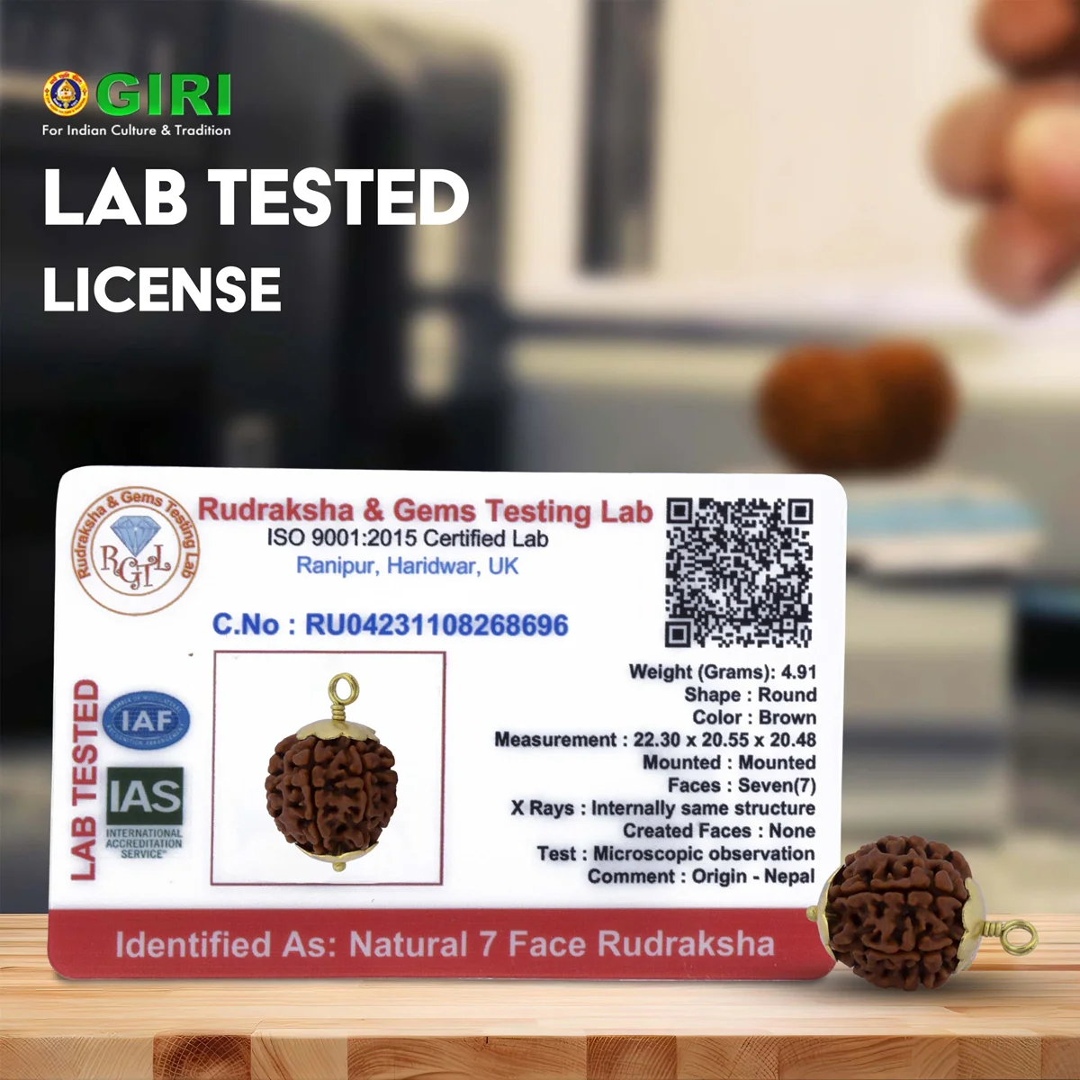 7 Mukhi Rudraksha Bead | Nepali Seven Mukhi Rudraksha/ Golden Cup Seven Faced Rudraksha Pendant for Men & Women - Image 4