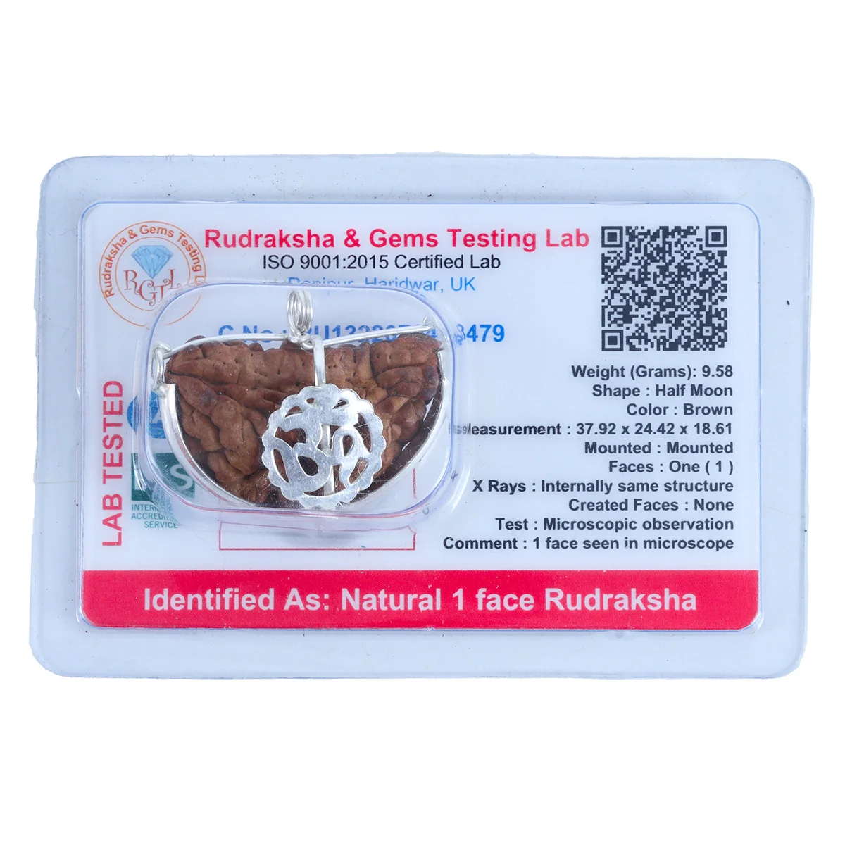 1 Mukhi Rudraksha Bead | Cashew Shape One Mukhi Rudraksha Bead/ Silver Cup One Face Rudraksha for Men & Women