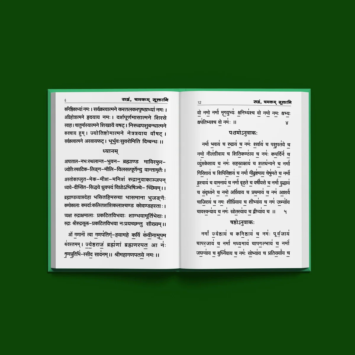 Rudram Chamakam Sooktani - Sanskrit | Vedas Book/ Hindu Religious Book - Image 4