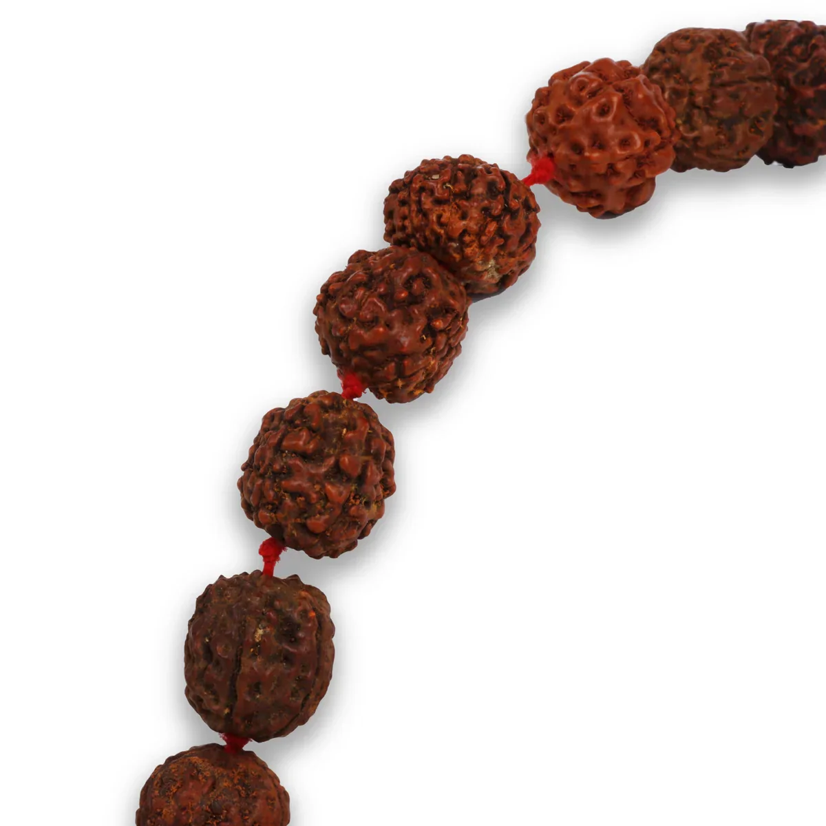 Ruthratcham Malai - 16 Inches | 12 mm Rudraksha Mala/ 54 Beads Kantha Mala for Men & Women - Image 3