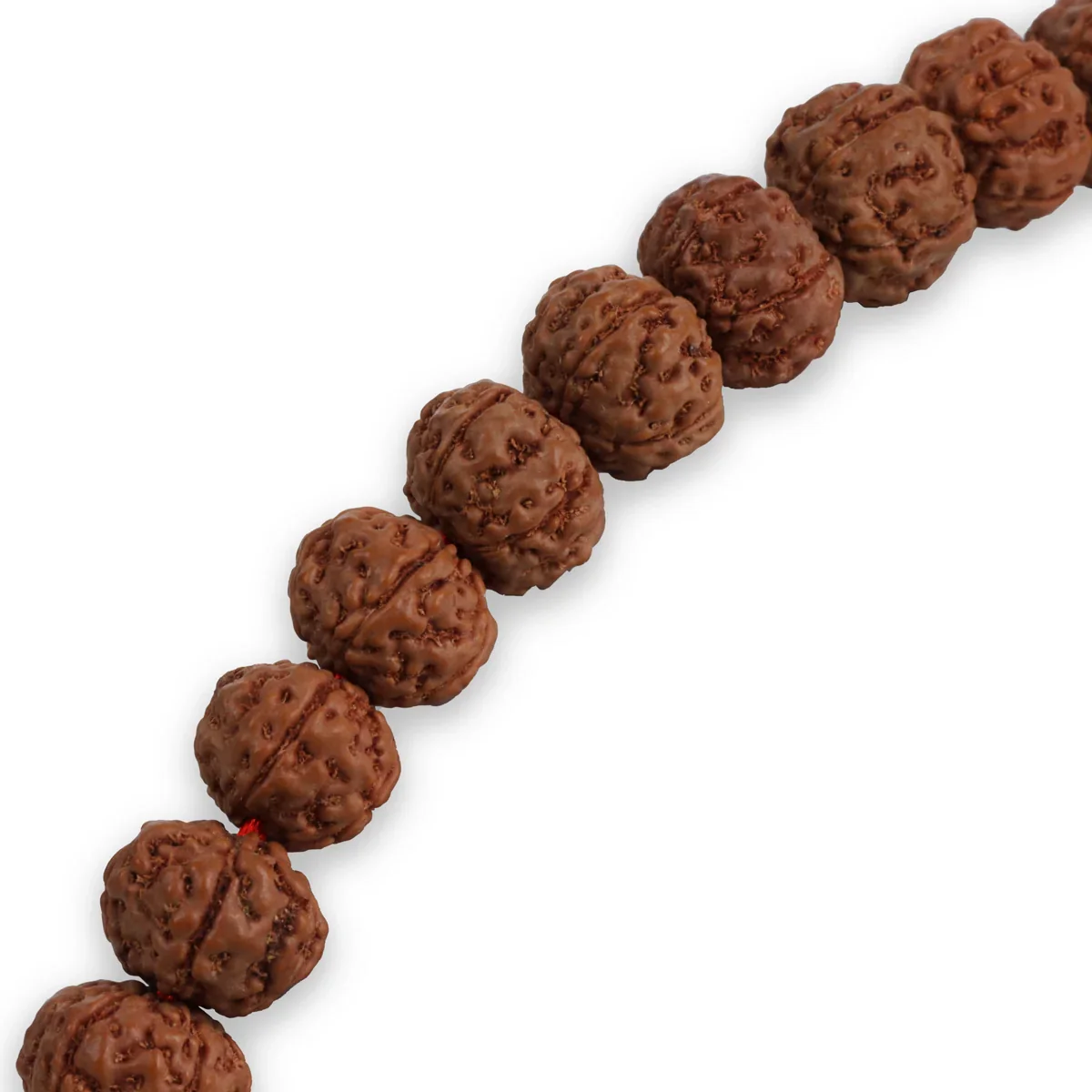 Ruthratcham Malai - 18 Inches | 10.5 mm Rudraksha Mala/ Indonesia Premium/ 108 Beads Kantha Mala for Meditation - Image 3