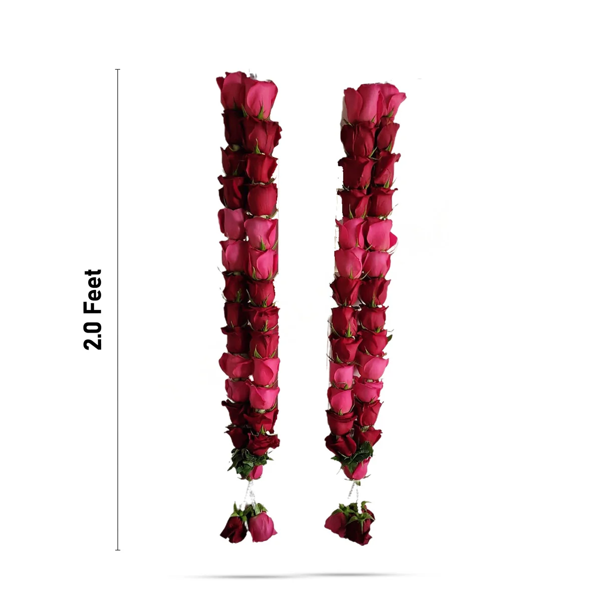 Rose Garland - 2 Feet | 1 Line Fresh Flower Garland/ Floral Garland/ Rose Mala for Pooja & Decoration - Image 2