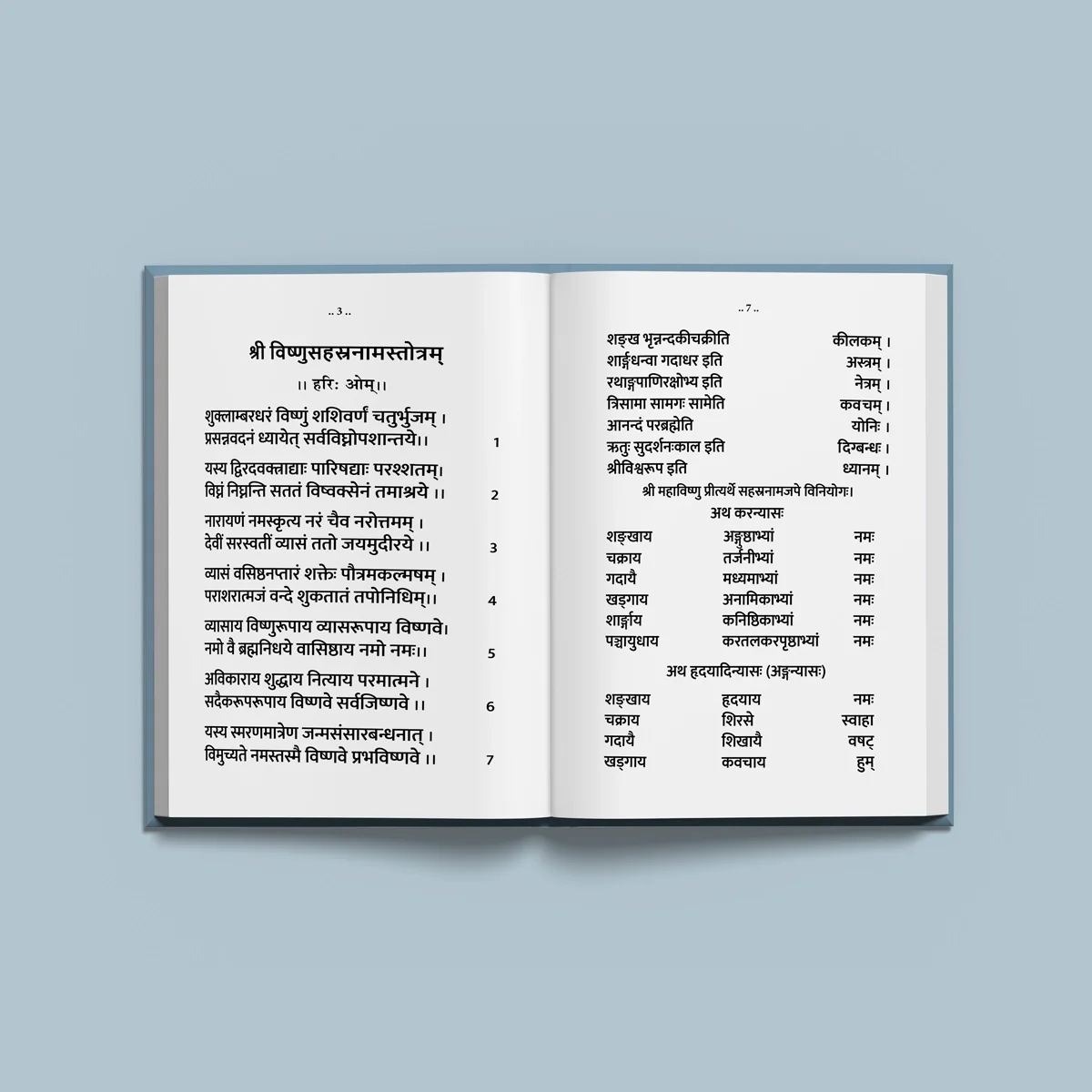 Sri Vishnu Sahasranama Stotram - Bold Print - Sanskrit | Stotra Book/ Hindu Religious Book - Image 4