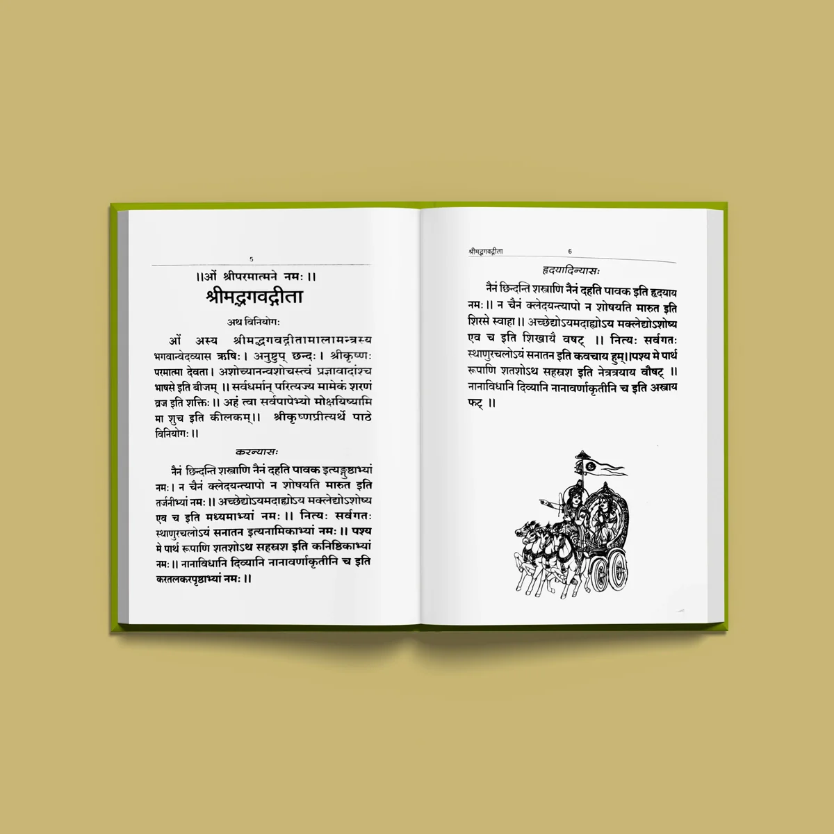 Srimad Bhagavad Gita - Bold Print - Sanskrit | Srimad Bhagavad Geeta/ Hindu Holy Book - Image 4
