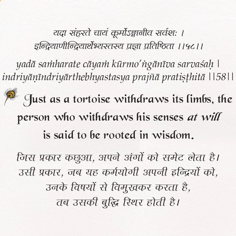 The Bhagavad Gita - The Transcendental Knowledge - English Book with Reading Stand | Signature Editions - Image 10