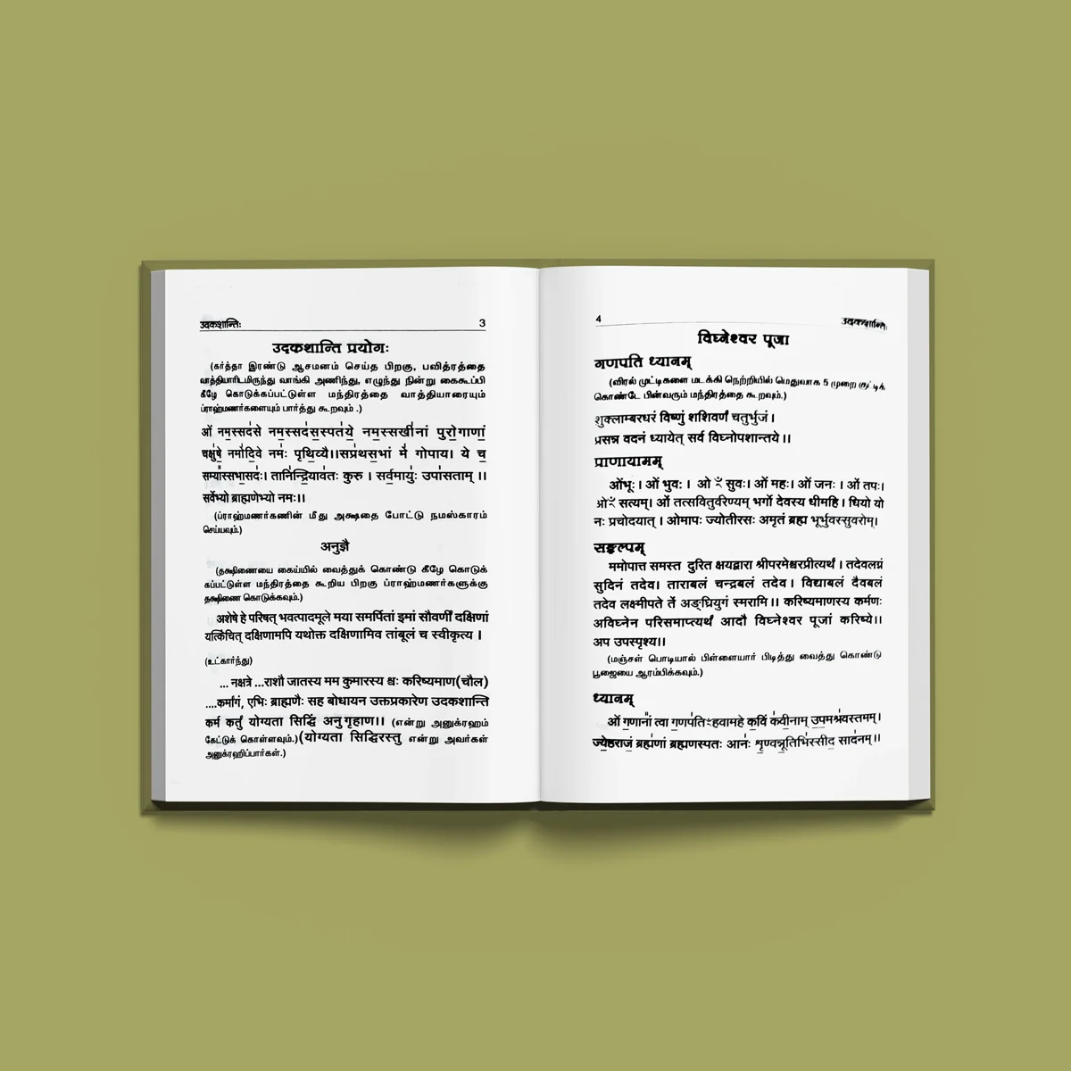 Udaka Shanti - Sanskrit | Hindu Vedas Book - Image 4